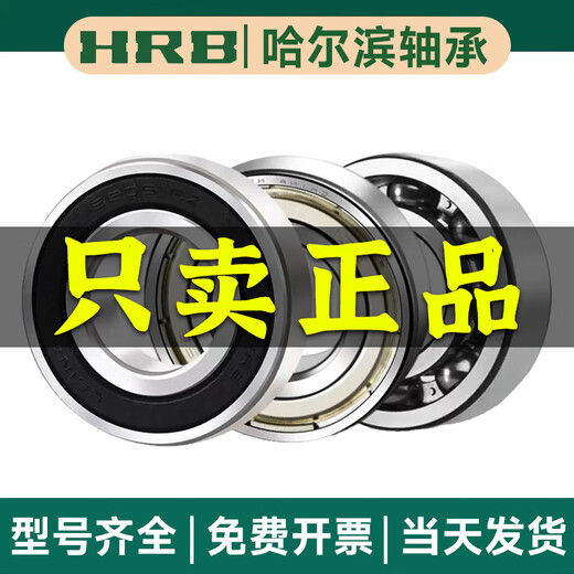 HRB Harbin Bearing 6200 6201 6202 6203 6204 6205 6206 ZZ Z 2RS 2RZ 6204-2RZ rubber cover
