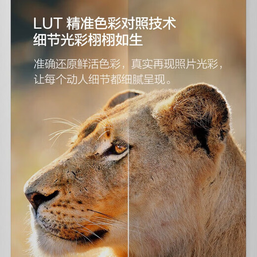 爱普生L8168 L8188墨仓式6色高端影像照片彩色无线打印机 A4/A3影楼办公喷墨打印复印扫描多功能一体机 L8188打印机+塑封机+膜+打印纸+相纸