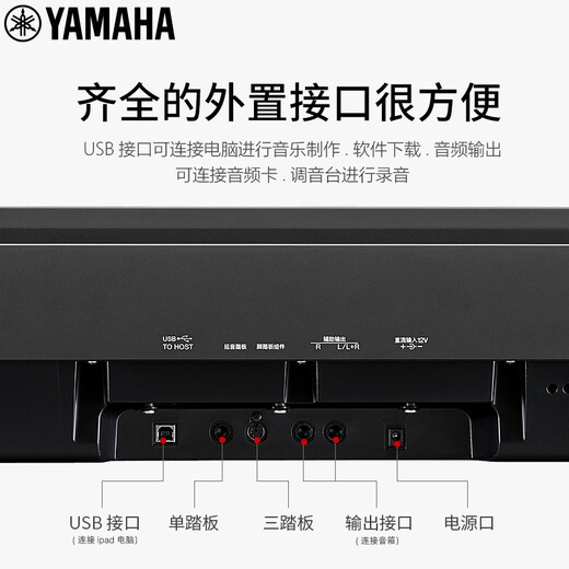 Yamaha (YAMAHA) electric piano P223 new adult practice children and the elderly heavy hammer 88-key beginners grade electronic piano P225B P223 host + X stand + single pedal + official standard