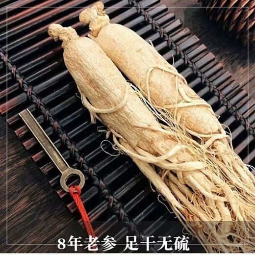 Kompendium des Cinnamomum Changbai Mountain getrockneter Ginseng White Ginseng 10-jährige Ginseng Prauning ausgewählte Wild Mountain Ginseng Nordost-Spezialitätengewinnung gewonnener Wein und Suppengarten Ginseng ausgewählt ausgewählt Changbai Mountain Wild Ginseng ausgewählte 12-jährige Ginseng [60 Gramm] etwa 12 Wurzeln