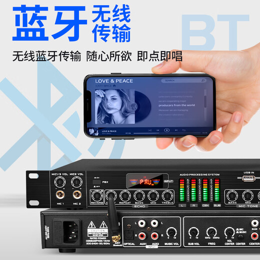 Depusheng Depusheng FX8 professional effector anti-howling KTV Bluetooth wireless microphone home feedback suppression audio set karaoke conference stage performance professional KTV anti-howling effector (with wireless microphone)