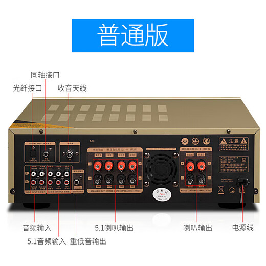 先科（SAST） 功放机大功率家用5.1声道重低音家庭影院数字蓝牙功放支持同轴光纤播放 【SU-115】