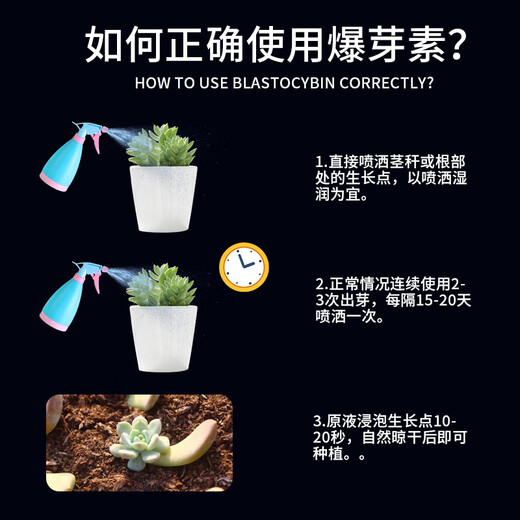 Guoguang polysucculent bud bursting hormone eubud stimulating side bud flower nutrient solution orchid bud bursting liquid cytokinin medicine 10ml