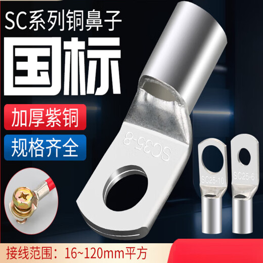 Yuduo National Standard A-Grade Dicked Cold Pressing Peeping Nase SC2,5/4/6/10/358 Quadratische Kupferdrahtnase SC12014 (10 Stück