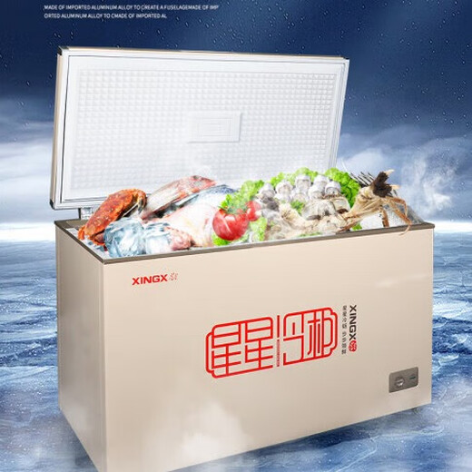 Xingxing (Xingx) Freiner Horizontal Freezer Commercial GRAND CONGRIPÉTAT TEMPRACULATION DE CONGRIPTION DE RÉFRIGÉRATION DE LA RÉFRIGÉRATION DE LA COMPRÉVÉRATION À grande capacité 518 litres Freiner Couvercle Top Cover Door Freinteur rapide Réfrigérateur de gardien de prix Fresh