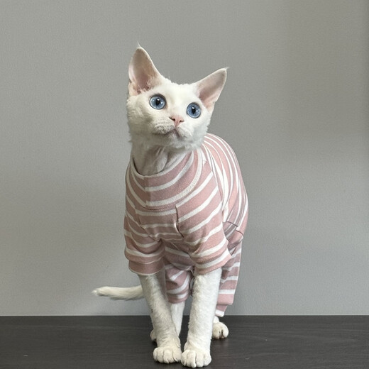 Weiji's new hairless cat clothes for spring and autumn Sphynx German curly cats and kittens pure cotton belly protection four-legged clothing four-legged striped thin section M-medium [recommended within 5-7Jin [Jin equals 0.5kg]]