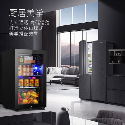 SAST ice bar refrigerator European style constant temperature wine cabinet office hotel home refrigerator mini small single door gaming tea preservation cabinet display sample beverage medicine cabinet 100 liters black (refrigerated + micro-freezing + blue light + lock)