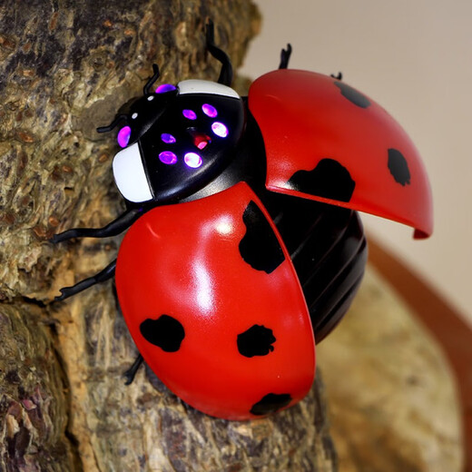 ZF Electric Remote Control Ladybug Toy Children Internet Celebrity Simulation Tricky Induction Moving Insect Reptile Animal Boys Girls Remote Control Ladybug Red 9922+ Screwdriver