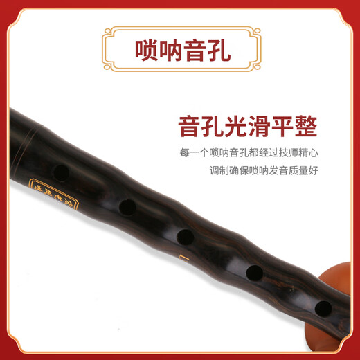 Hongyi Fengming (HongYiFengMing) Ebony D-tune Gold Bowl for Adult Beginner Tutorial Music Score Suona Complete Set