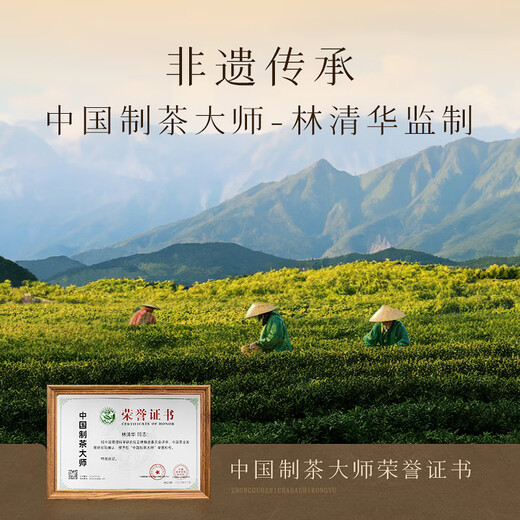 Zhangping narcissus té oolong té maestro de sabor zhangping narciso té de té viejo fragancia en caja tipo 20g