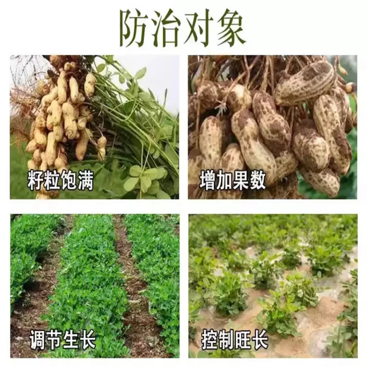 Prohexadione calcium triacontanol, strawberry, lychee and lychee shoot growth control drug, special agent for controlling growth of fruit trees, 100g