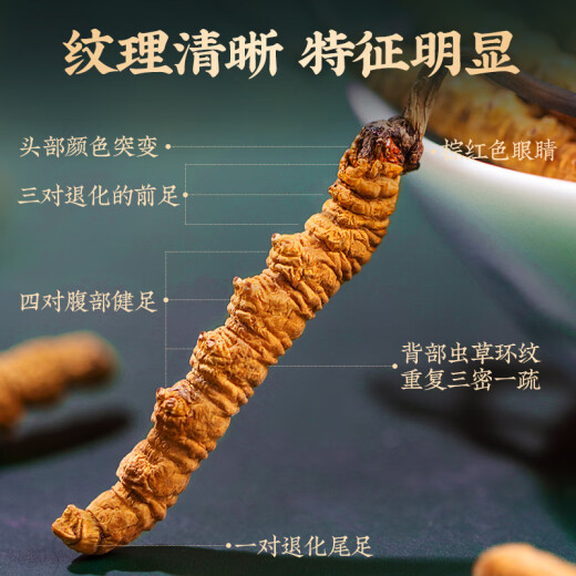 同芙 冬虫夏草3根/g 20g礼盒装 端午节礼物礼品高端送人滋补营养补品