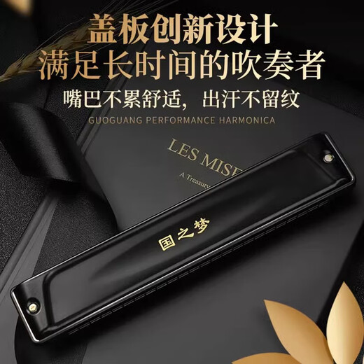 Guoguang importiert Gong Guoguang Marmonica echte 24-Loch