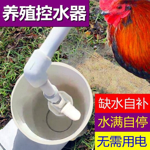 Nuevo bebedero automático para pollos, patos, gansos y aves de corral de Xushansi, alimentador de agua, tanque de agua potable para patos, equipos y suministros para la cría de ganado vacuno y ovino, entrada de agua lateral de 4 minutos (20 mm) de tercera generación