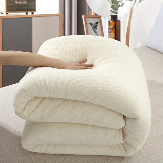 Arctic velvet (Beijirong) removable and washable winter quilt 10Jin Jin equals 0.5kg