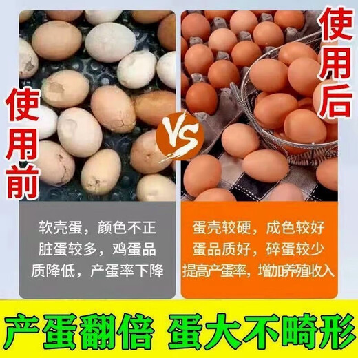 Hen wake-up medicine, poultry no longer nests, chickens lay eggs, egg Duoduo, general feed additive for ducks and goose eggs, 1 bottle 200g