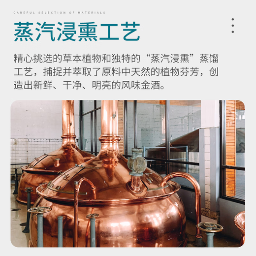 FAST.KING蓝莓味金酒杜松子酒Gin酒长岛冰茶金汤力基酒调酒洋酒700ml 【单支装】 700mL 1瓶