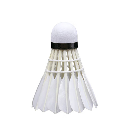 Asia Lion (RSL) NO.1 Full-round Duck Feather Professional Competition Badminton Stable and Durable Badminton 77 Speed 12 Pack/Bucket