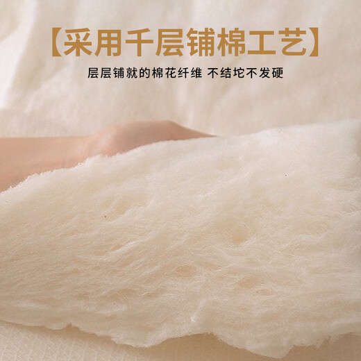 Kaseen 100% Natural Xinjiang Cotton Single Dormitory Quilt Core Spring and Autumn Quilt 6Jin [Jin equals 0.5kg] 150x200cm [Original White]