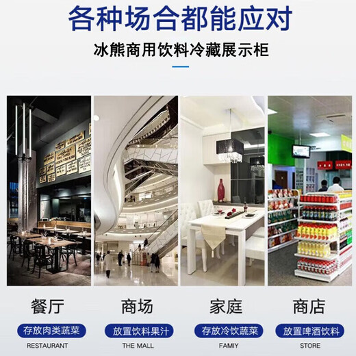 Bingxiong Displayschrank gekühltes Frischlagerschrank kommerzielle Gefrierschrankwein Direkter kaltes vertikaler Supermarkt Convenience Store Bar Biergetränkschrank Displanschrank 338 Eingangstür Displayschrank/Energieeinsparung und niedriger Verbrauch 540*530*1695