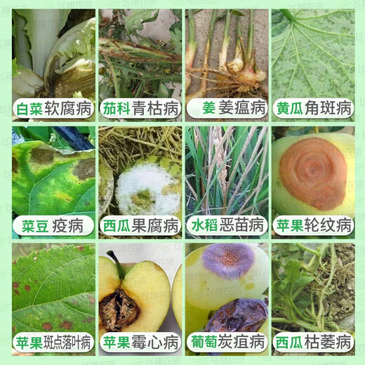 NPS Kuaishuang 3% Zhongshengmycin, cabbage soft rot, tomato bacterial wilt, cucumber angular spot pesticide and fungicide 20g*3 bags