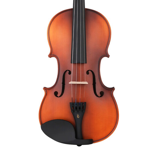 Finelegend Violon Enfants adultes faits à la main pour le violon débutant pour débutant Professional Examen Matte débutants l2 4/4