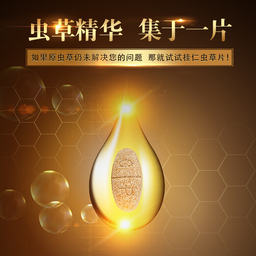 桂仁虫草片冬虫夏草菌丝体含片胶囊60粒增强免疫 中老年人滋补营养品 虫草片十盒套餐（实发十五盒）