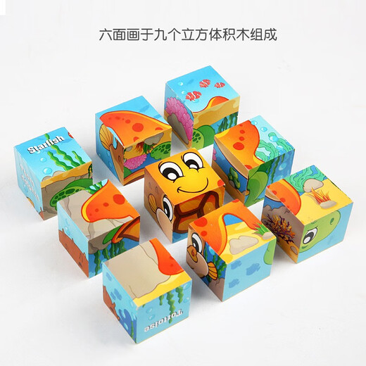 Bois de construction en bois peinture à six côtés en bois 9 pièces Puzzle 3D 3d outils de maternelle pour enfants en trois dimensions pour enfants 3-6-7 ans.