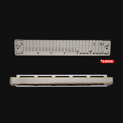 Tongbao Tombo Harmonica 6624S Коллекция Модель высококлассной комплексной сетки, версия для полифонической гармоники, профессиональная производительность, гибкая перспектива [металлическая медная сетка]]