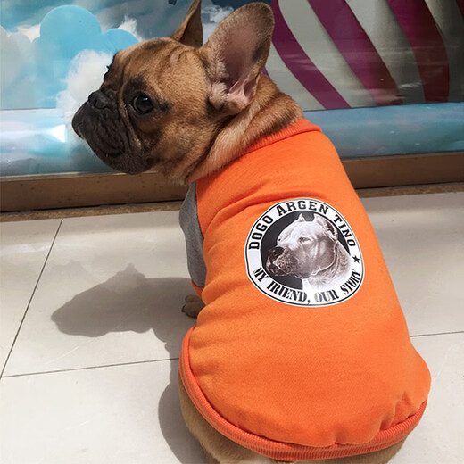 迪普尔狗狗衣服法斗保暖狗衣服小型犬宠物小狗狗秋冬装巴哥犬法牛犬 橙色L码（建议6-10斤）