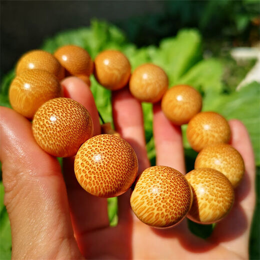 Jiang Jinyues authentisches Drachenblut Golden Seide Bambusarmband Pflaumenblüten Bambus Buddha Perlen handgefertigte Rosenkranzperlen kleines Blatt Rot Sandelholz Hainan Huanghuali Sn841 1.5-15