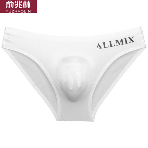 俞兆林男士三角内裤丁字裤低腰U凸弹力紧身性感一片式冰丝无痕运动健身 三角DZ男 白色 XXL