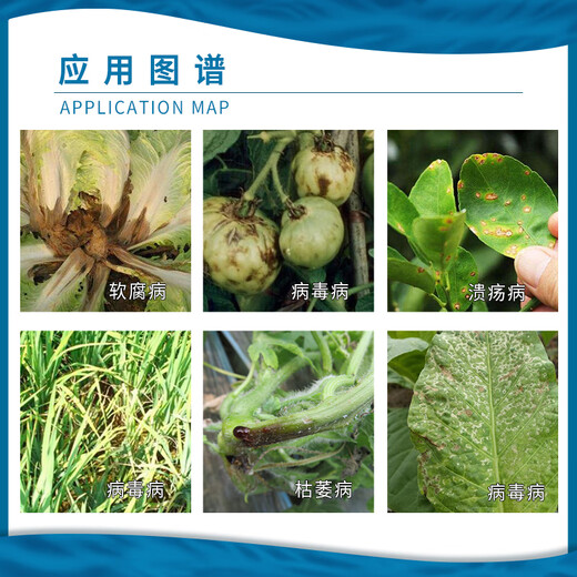 Atailin Amino Oligosaccharide 6% Rice Tomato Virus Disease Soft Rot Fusarium Wilt Canker Fungicide 15g