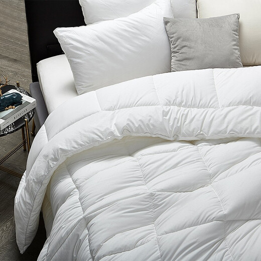 MINE Comfortable seven-hole fiber quilt single double four-season universal quilt core air conditioner spring and autumn quilt winter quilt Seven-hole fiber quilt 248*248cm (1350g in spring and autumn quilt)