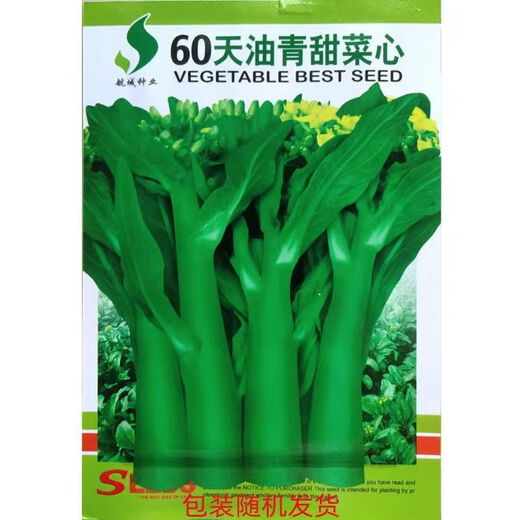 60-day oily green beetroot seeds, early-maturing and high-temperature resistant, spring and autumn four-season super beet moss seeds, farm vegetable seeds, 60-day oily green beetroot seeds, original factory packaging 1 pack (about 1000 pieces)