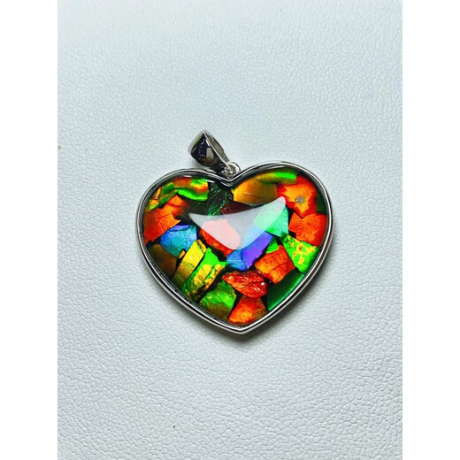 DRJEFUN Canadian Ammonite Pendant Ammonite Pendant Ammonite Pendant