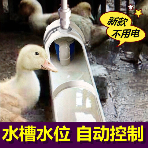 Nuevo bebedero automático para pollos, patos, gansos y aves de corral de Xushansi, alimentador de agua, tanque de agua potable para patos, equipos y suministros para la cría de ganado vacuno y ovino, entrada de agua lateral de 4 minutos (20 mm) de tercera generación