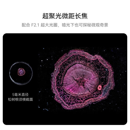 HUAWEI Pura 70 Pro+ 弦乐白 16GB+512GB   双卫星通信 华为P70智能手机