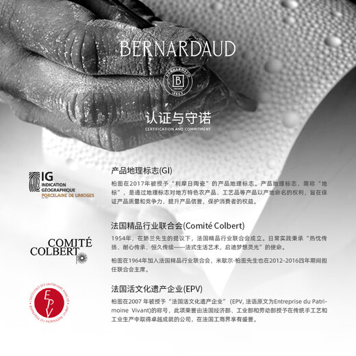 BERNARDAUD imported from France Imperial Red series rice bowl 12cm tableware ceramic bowl housewarming gift wedding couple gift box Imperial Red 12CM bowl