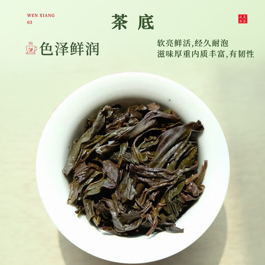 茶吉缘藏兮 乌龙茶叶武夷岩茶大红袍一级120g  中火