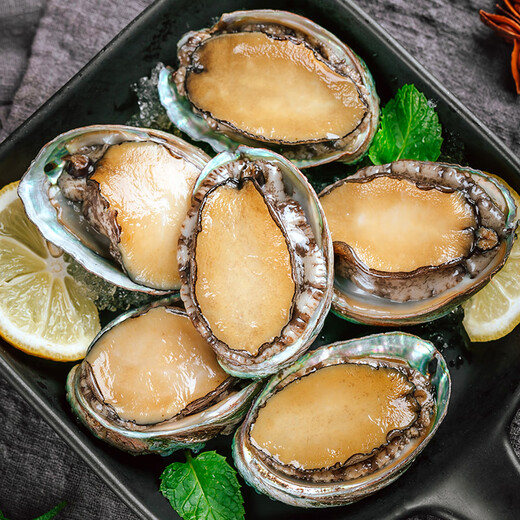 Wangmu cooked and frozen triple-cut extra large abalone, extra large 10 abalone, fresh shellfish, holiday gift, comparable to 10 fresh abalone, large size, net weight 500g