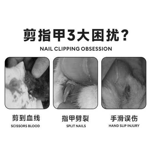 Long pet anti-cut small blind scissors cat nail clipper special pet cat small round hole novice nail clipper nail clipper small blind scissors orange and white