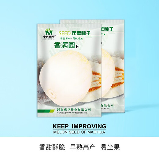 Zhongke Maohua Vegetable and Fruit Seeds Hybrid First-generation Xiangmanyuan White Belt Yellow Melon Seeds Thin-skinned and thick-flesh super sweet and fragrant melon seeds Base greenhouse cultivation Xiangmanyuan 100 capsules/bag Great value for multiple purchases