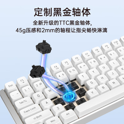 Aston Hola111 true mechanical keyboard wireless 2.4G gaming e-sports home office keyboard desktop laptop multi-key no punch 100% configuration cloud white