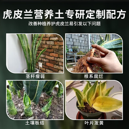 Shangyang Tiger Pilan special nutrient soil 16L gardening vegetable and flower soil planting orchid granular soil organic peat soil