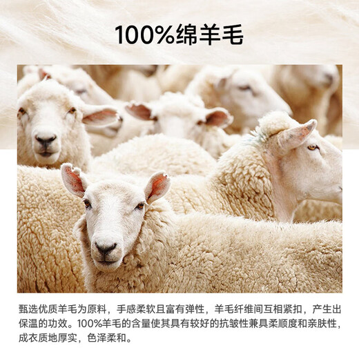 沙驰SATCHI秋冬轻暖双面呢商务男士西服外套男装100%绵羊毛耐皱西服 藏青48