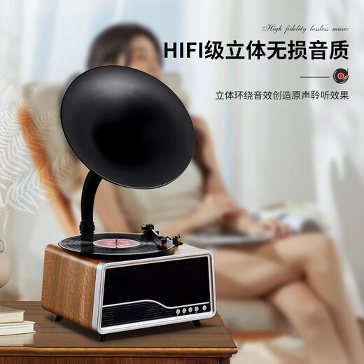 Duhuanshi Vinyl Record Player Professional HiFi Retro Phonograph Film Player Bluetooth Speaker Living Room Audio Matte Oak Color Free Genuine Vinyl Record + Music U Disk