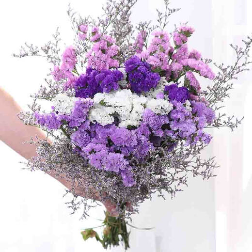 AIMAN Yunnan Flowers Dried Flower Bouquet Forget-Me-Not Lover Grass Combination Starry Gypsophila Living Room Real Flower Arrangement Home Furnishings Dark Purple Light Purple Pink White + Grass Approximately 30 pcs without basket