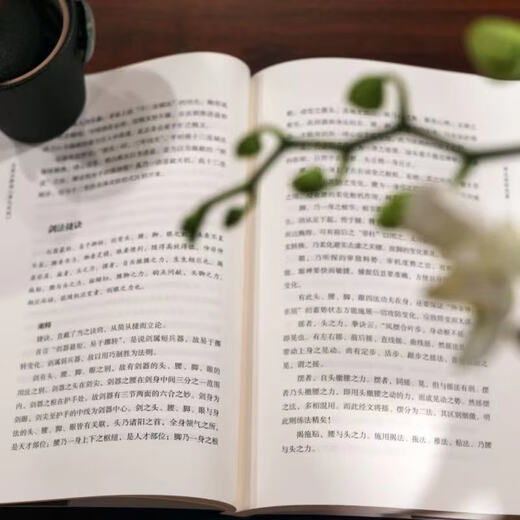 [Nuevo producto para auto-operado] Ma Guoxing interpreta el Hun Jian Sutra, habilidades para dormir de tres pasos para romper las siete conchas, y la postura de clase mundial, el paso, la lucha, la técnica, la forma, la mente, el cuerpo, el uso, los métodos de cultivo, Beijing 12128