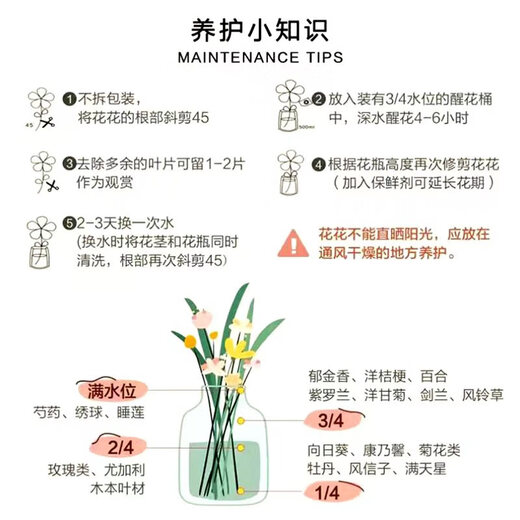 Yunnan flowers wholesale quality rose lily water-grown fresh cut flowers for your girlfriend's birthday gift straight from the source Aisha (Iron Head Princess) - 20 pieces, choose 2 pieces, no shipping fee